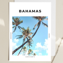 DESTINATION PRINTS COLLECTION